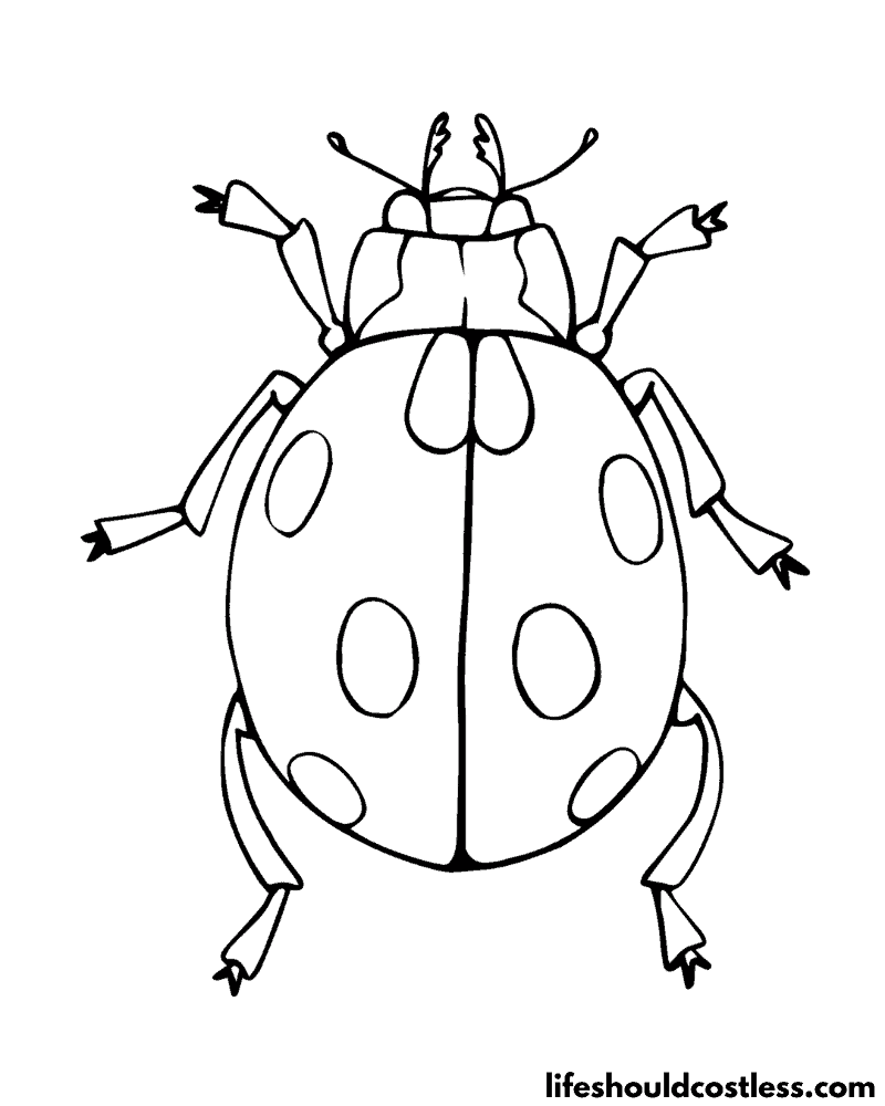 Color Page Ladybug Example