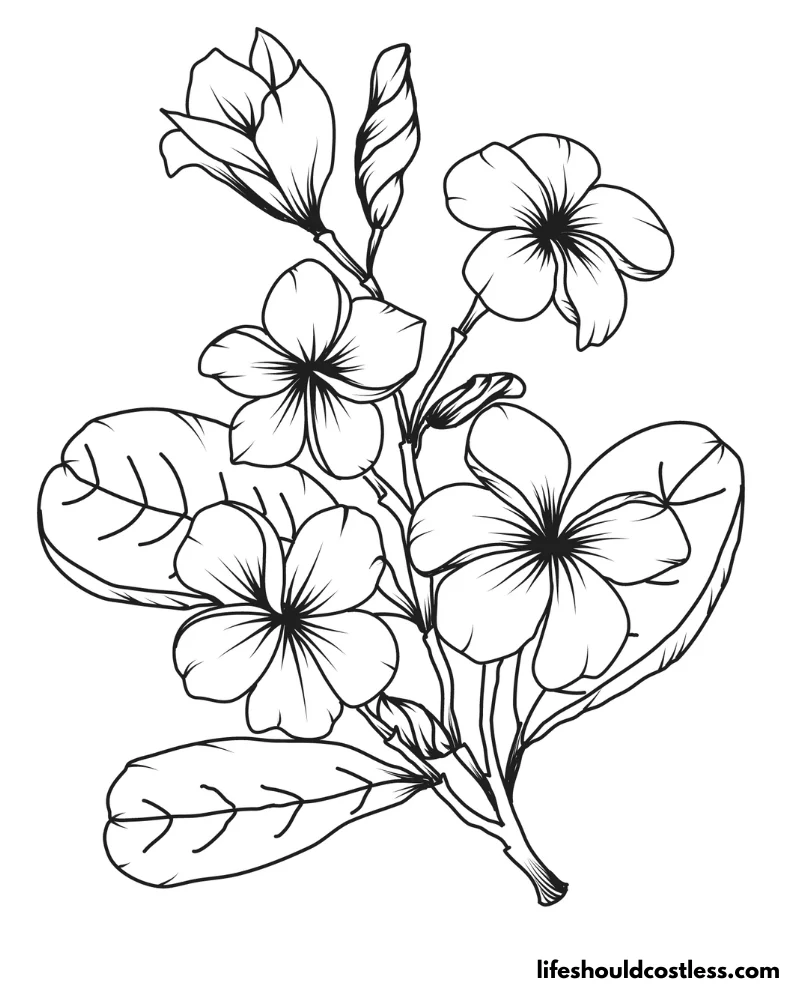 Coloring Pages Spring Flowers Example