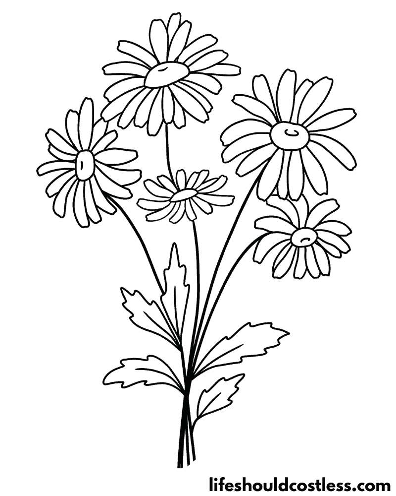 Daisies Coloring Page Example