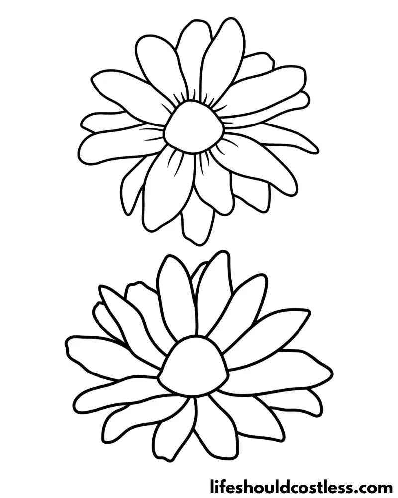Daisy Colouring Pages Example
