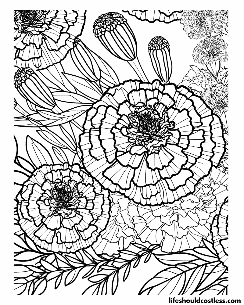 Flower adult coloring pages example