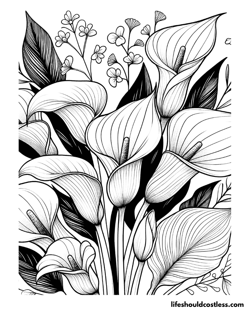 Flower coloring page for adults example