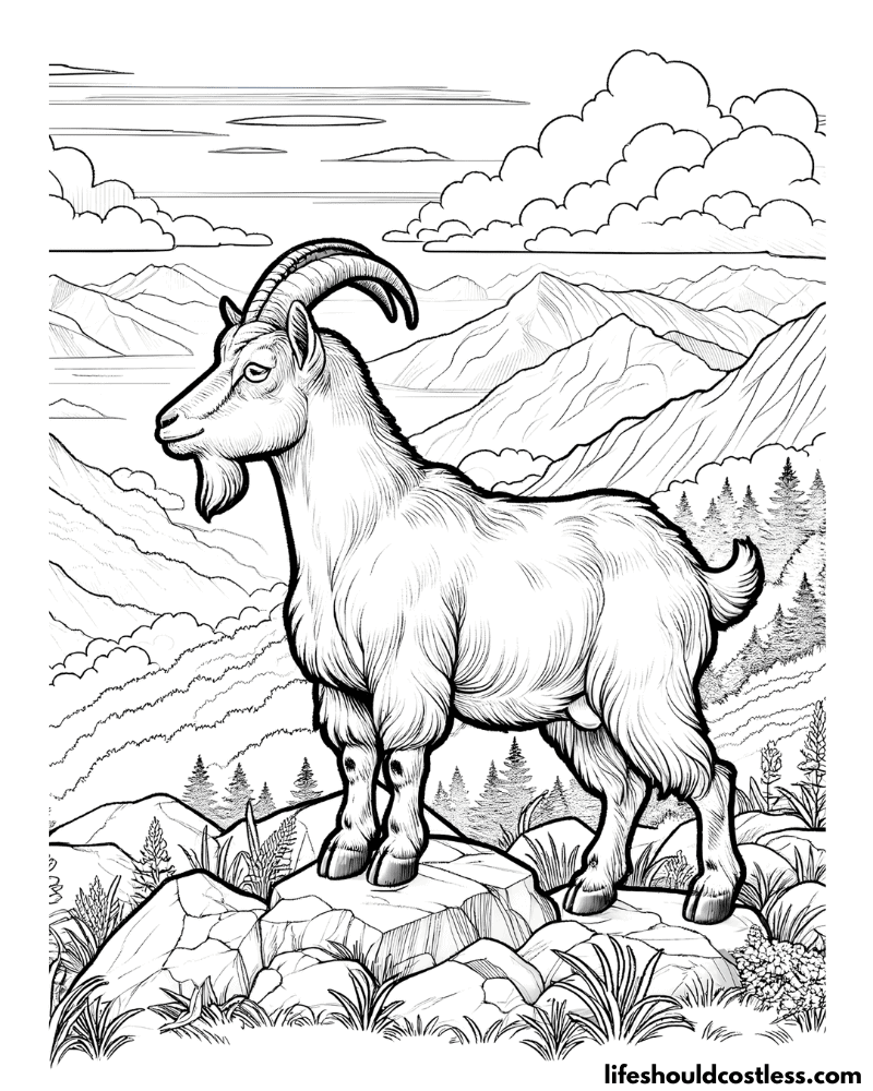 Goat colouring pages example