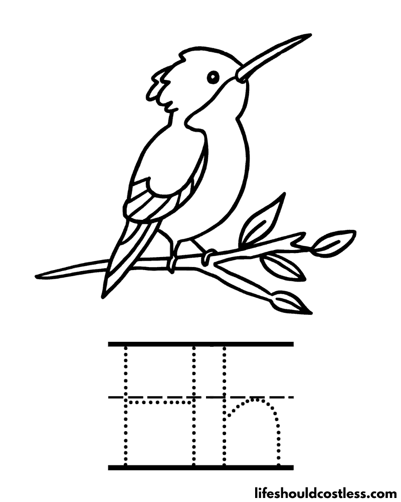 Letter H Is For Hummingbird Coloring Page Example