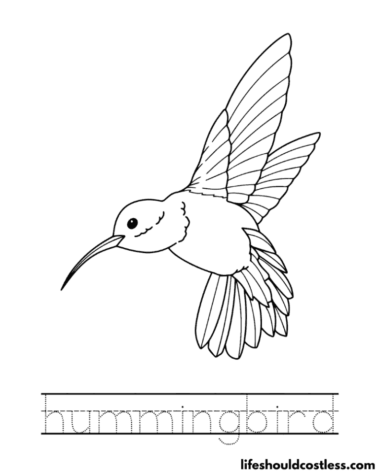 Hummingbird Coloring Pages (free PDF prints) - Life Should Cost Less