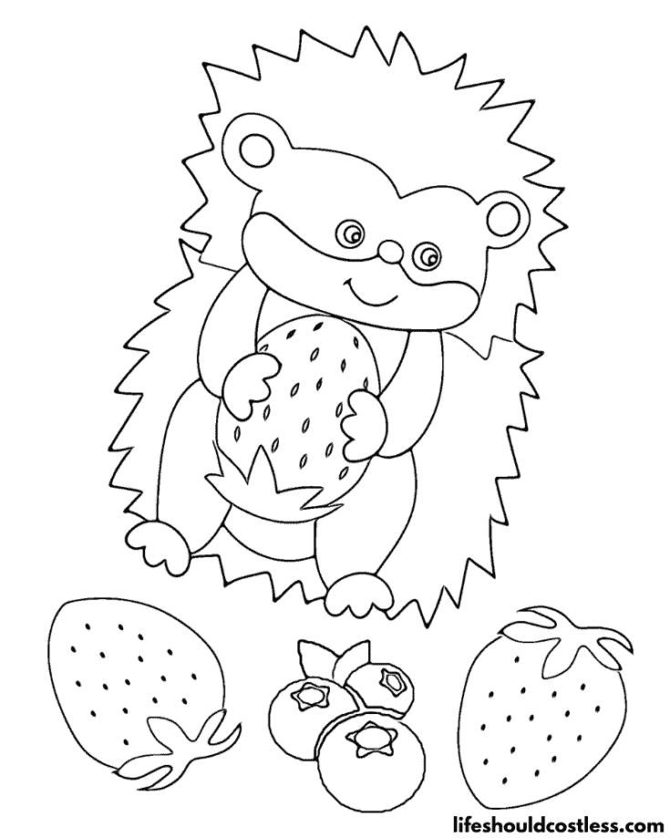 Hedgehog Eating Berries Color Sheet Example
