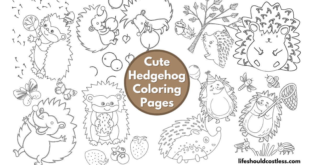 Hedgehog Coloring Pages (free printable PDF templates) - Life Should Cost Less