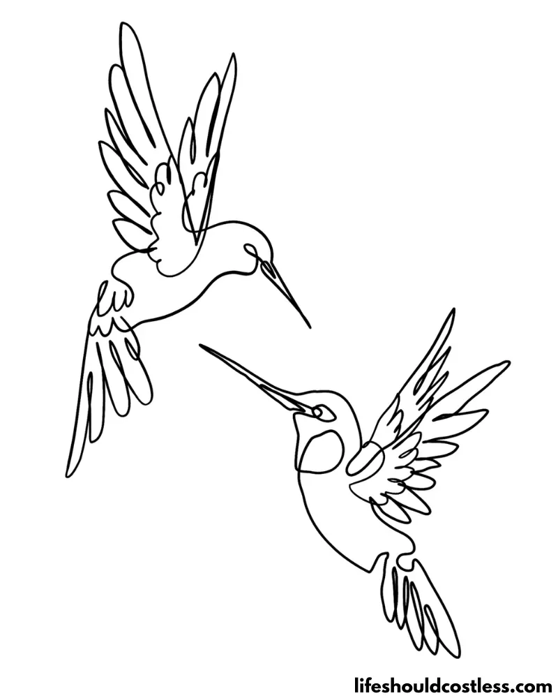 Humming Bird Outline Example