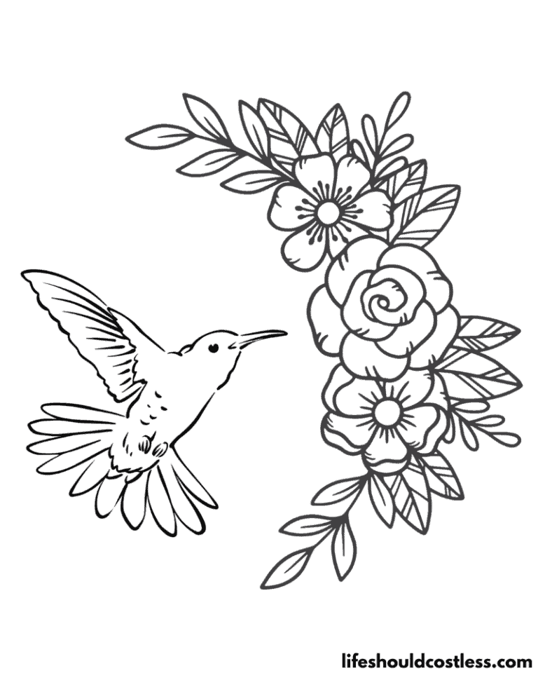 Hummingbird Coloring Pages (free PDF prints) - Life Should Cost Less