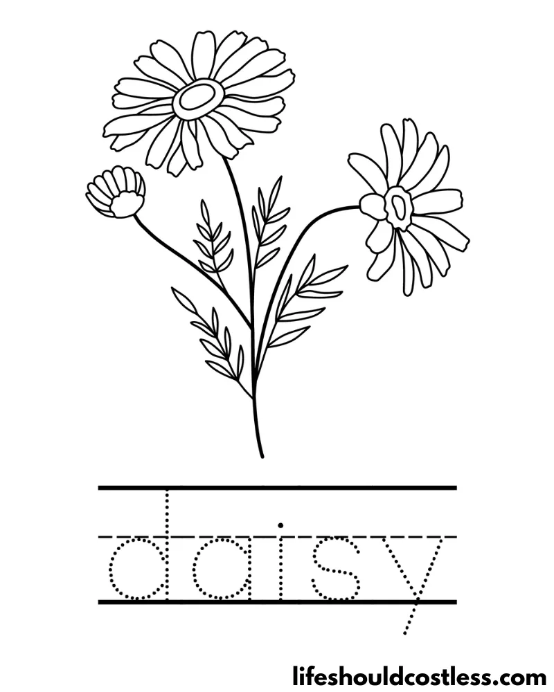 Letter D Is For Daisy Worksheet Example
