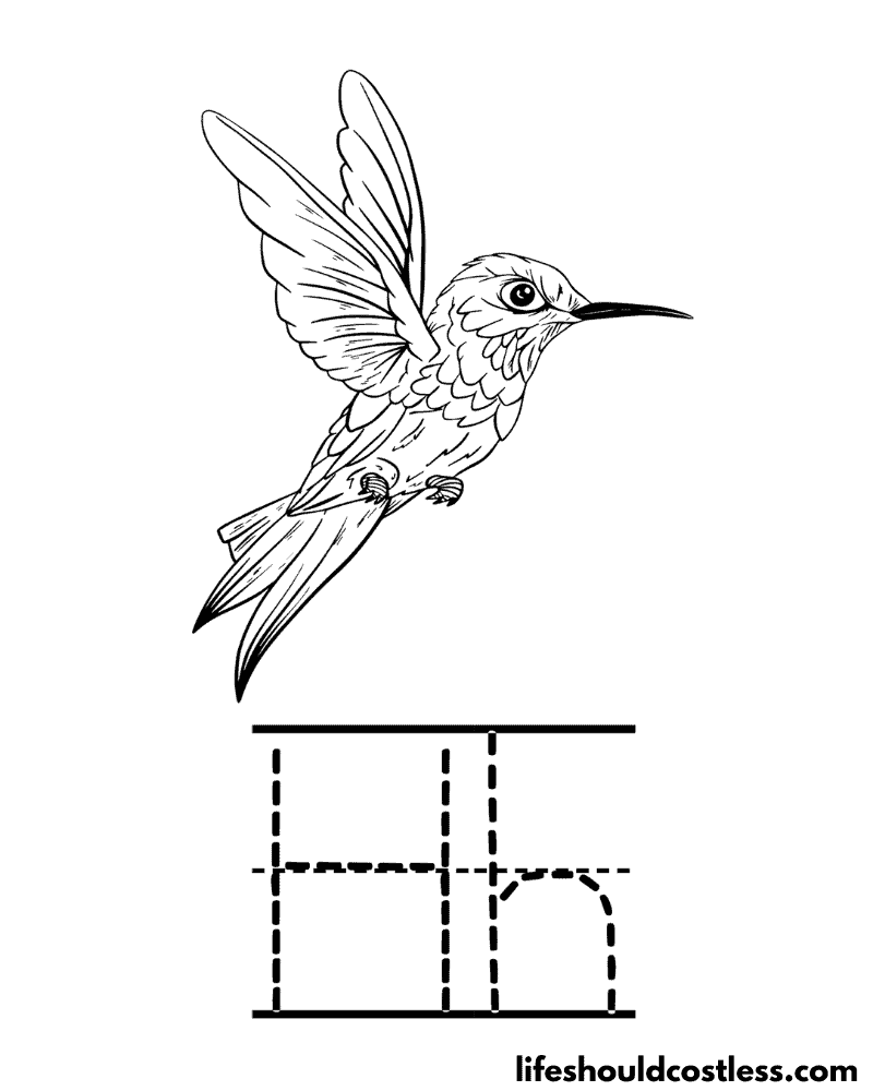 Letter H is for hummingbird coloring page example