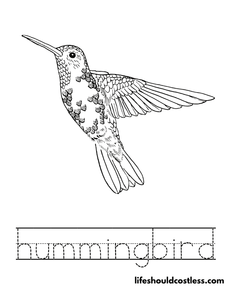 Letter H is for hummingbird worksheet example