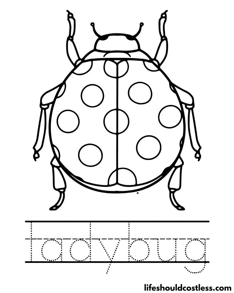 Letter L Is For Ladybug Worksheet Example