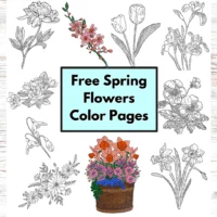 Spring Flowers Color Pages