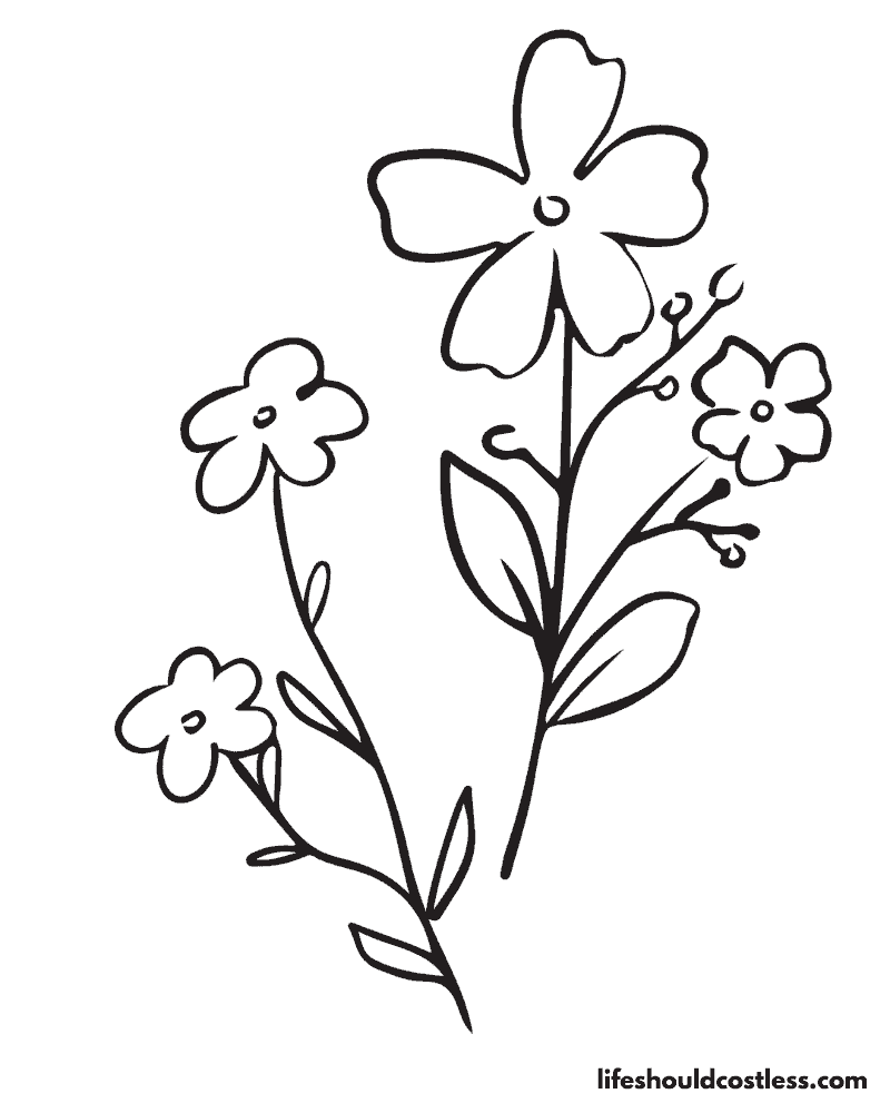 Spring Flowers Coloring Pages Example