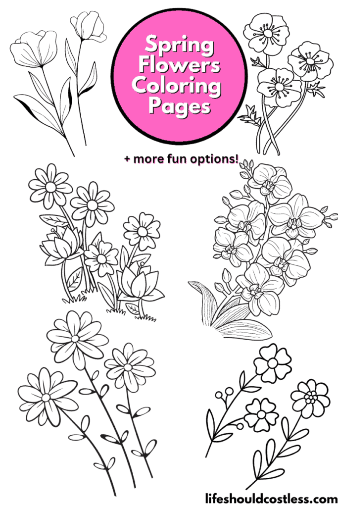 Spring Flowers Color Pages Free