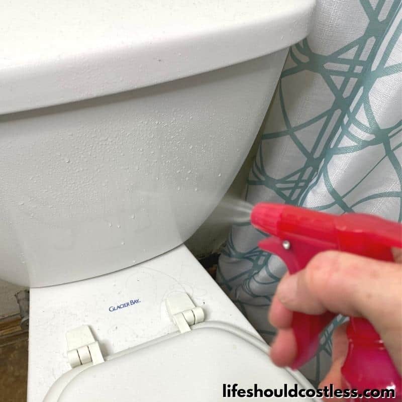 Toilet cleaning and disinfecting with vinegar Step 1 A