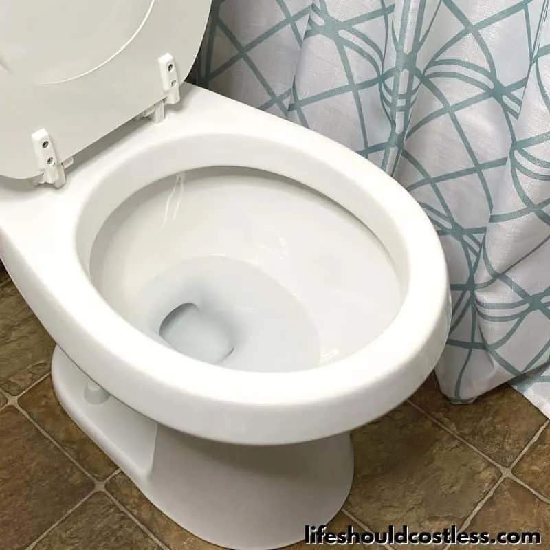 Toilet cleaning and disinfecting with vinegar Step 5