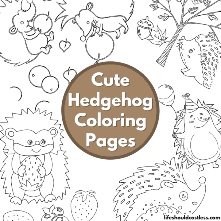 coloring pages hedgehog