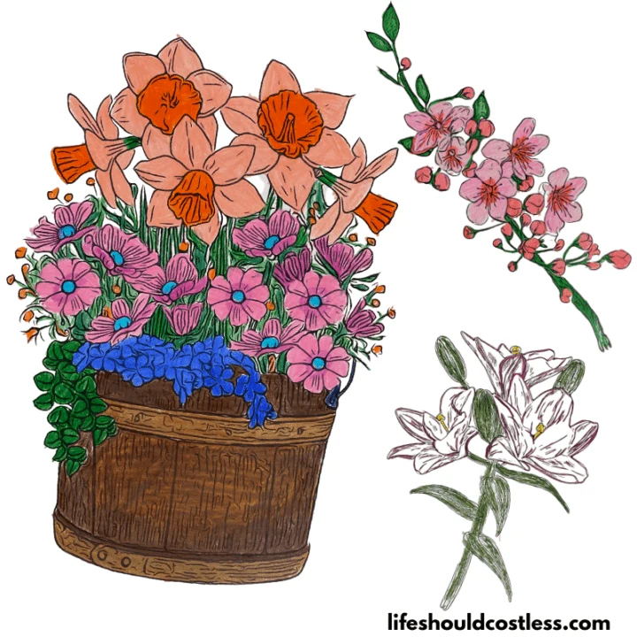coloring sheets for spring flowers