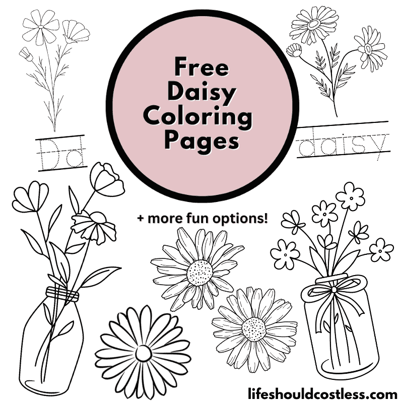 Yarn & Daisy Coloring Page (Free Printables)- Daisy Cottage Designs