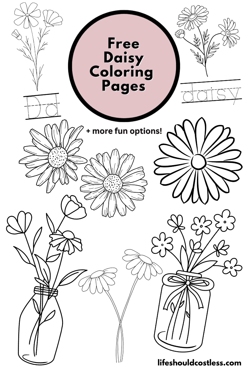 Daisy Coloring Pages (free printable PDF templates) - Life Should Cost Less