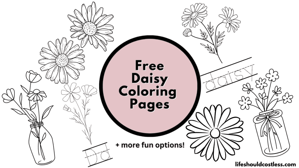daisy coloring sheets