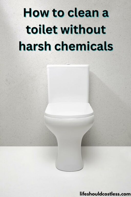 How To Clean A Toilet Without Chemicals (Video) Life Should Cost Less