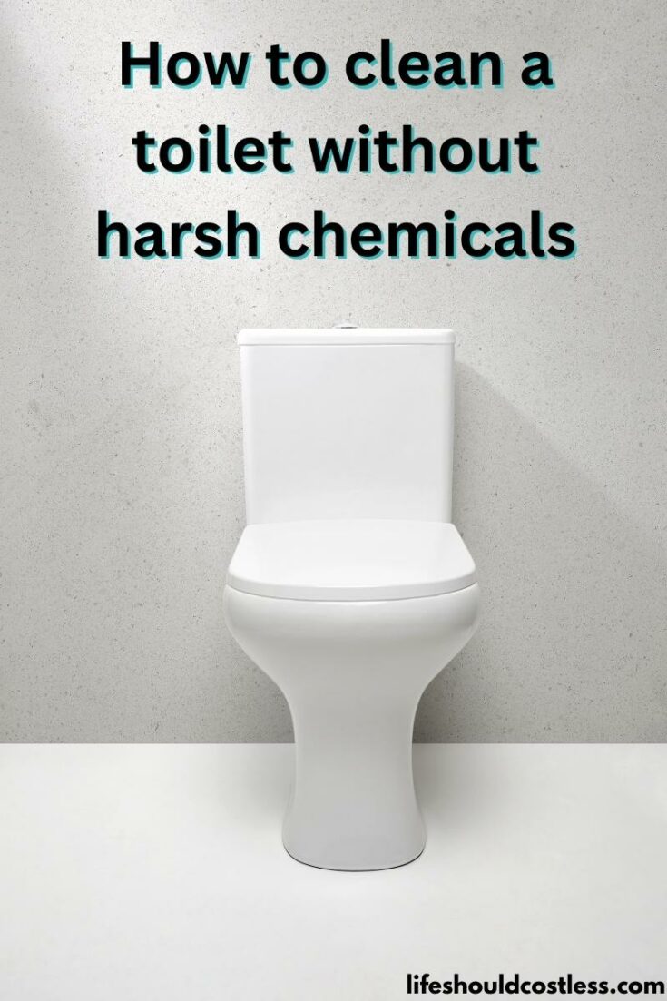 how to clean a toilet without bleach