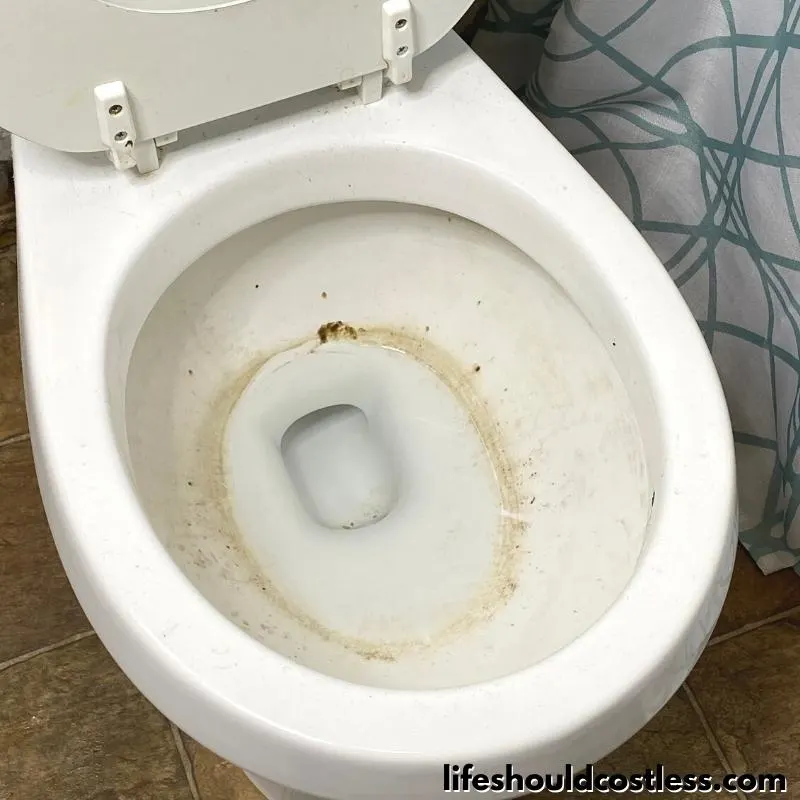 how to get rid of ring in toilet or hard water stains with a pumice cleaning stone step 1