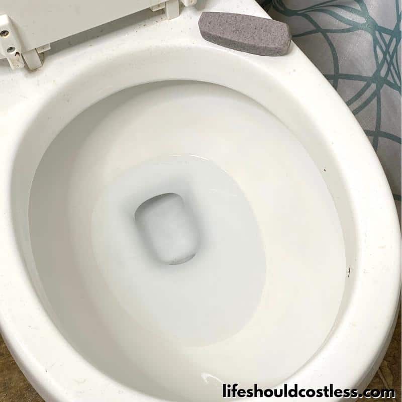 How to Clean a Toilet In 5 Steps 