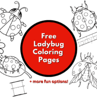 ladybug coloring page