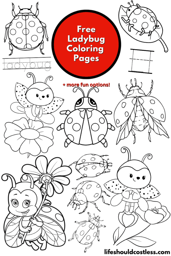 ladybug template printable