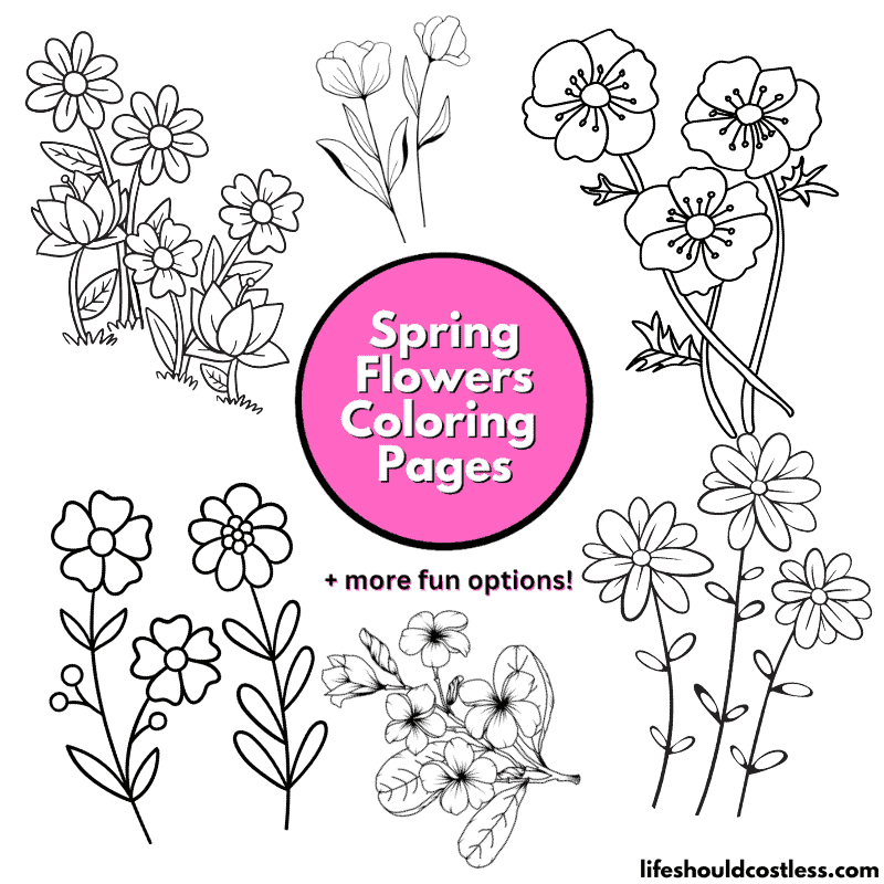 spring flower color sheets