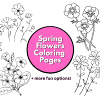 spring flowers colouring sheet