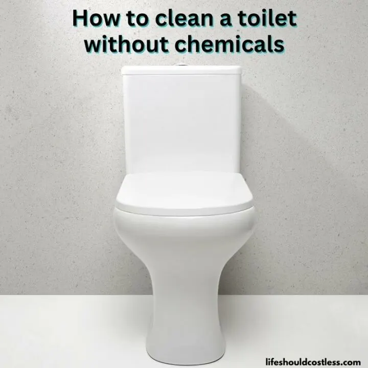 toilet cleaning hack cleaning the toilet with vinegar