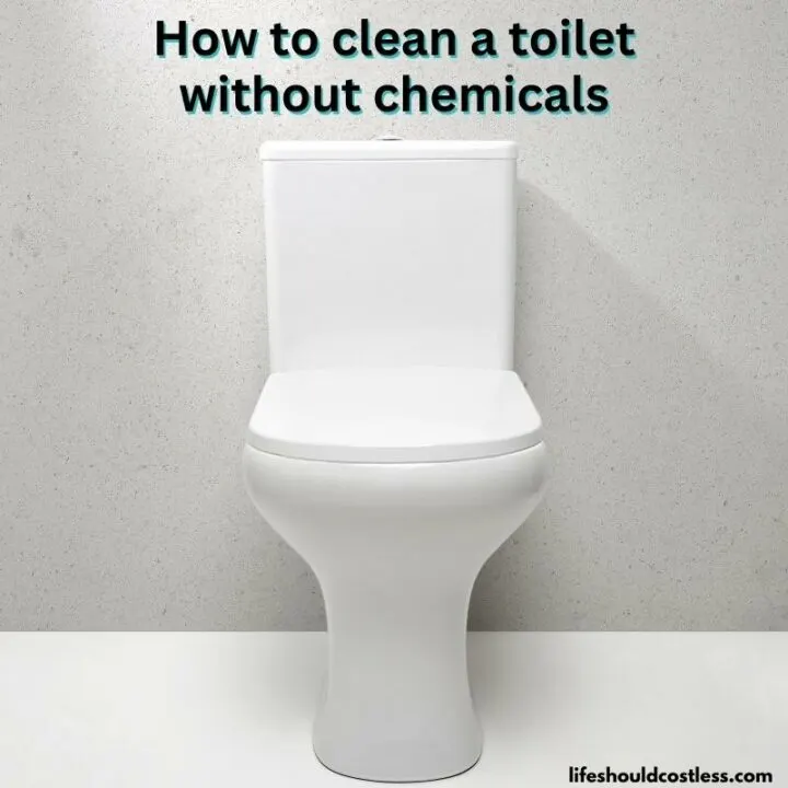 https://lifeshouldcostless.com/wp-content/uploads/2023/02/toilet-cleaning-hack-cleaning-the-toilet-with-vinegar-1-720x720.jpg.webp