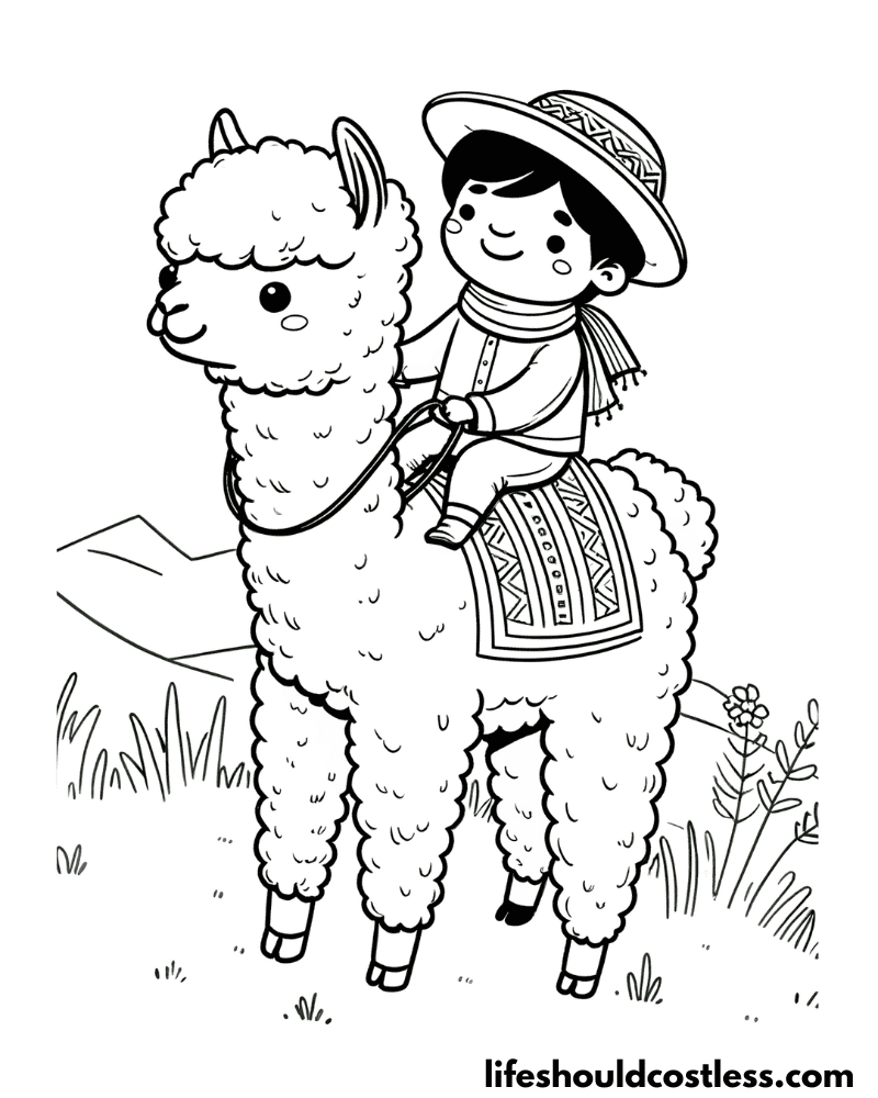 Alpaca pictures to color example