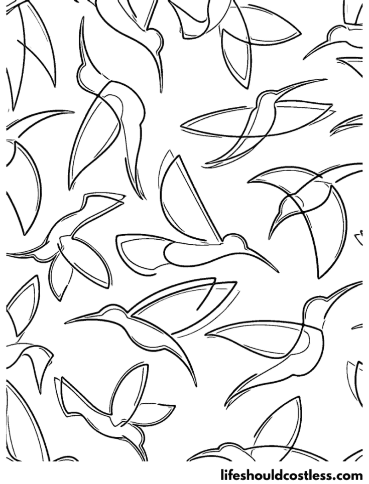 Background Hummingbirds Outline Coloring Page example