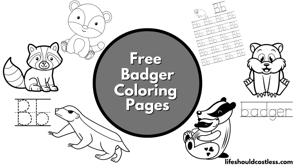Badger coloring pages