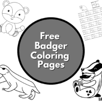 Badger coloring pages