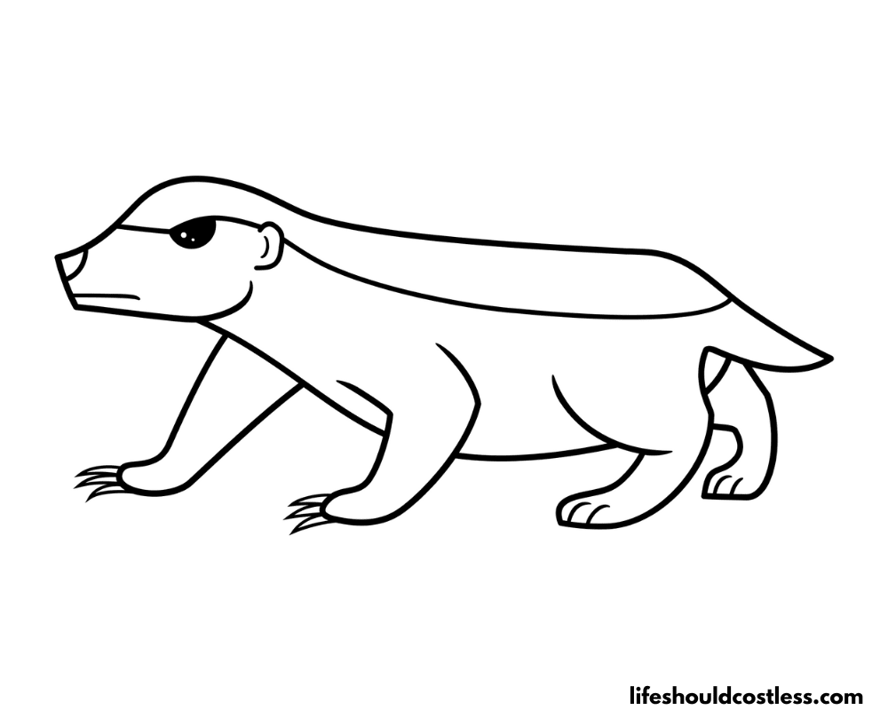 Badgers coloring pages example