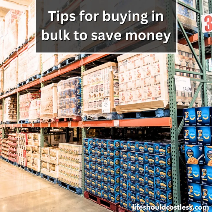 Buying in bulk to save money is an example of?