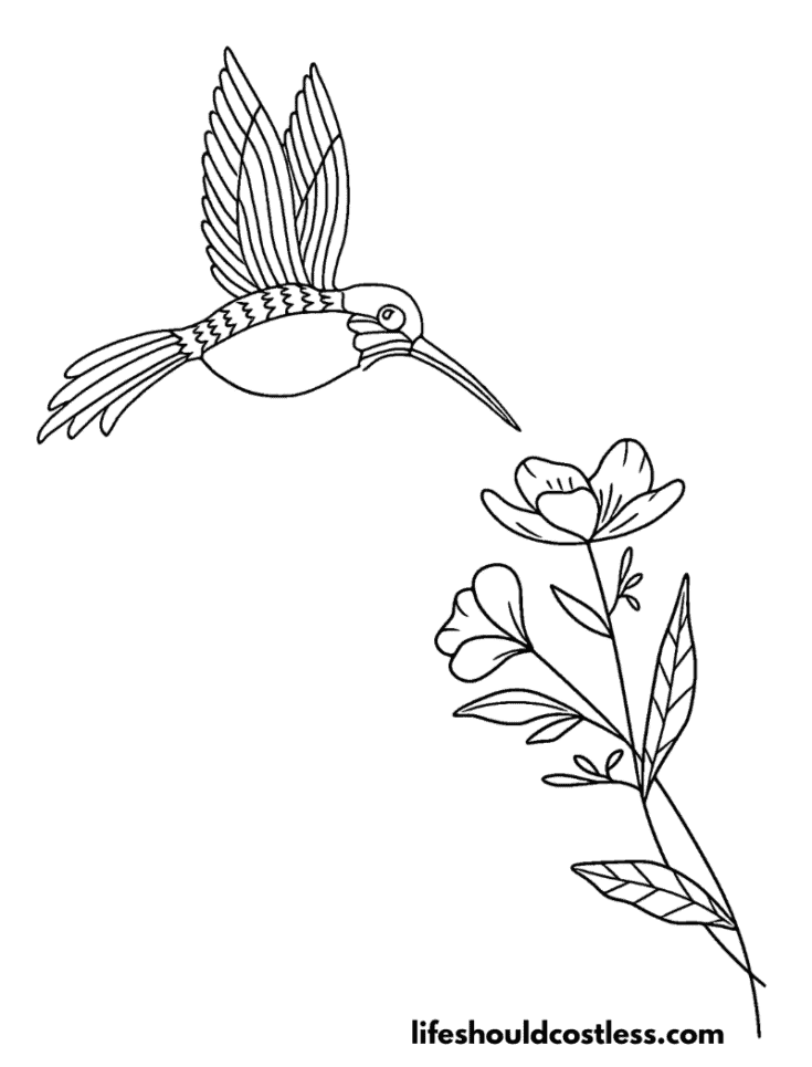 Cartoon hummingbird with flower outline 2 example