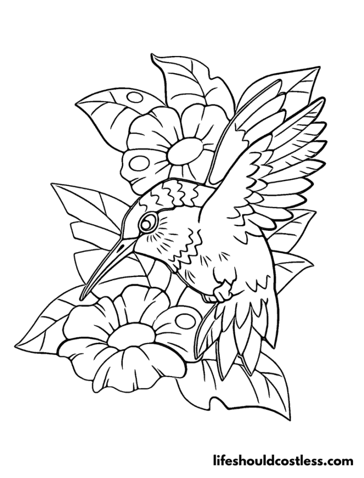 Cartoon hummingbird with flowers outline 3 example