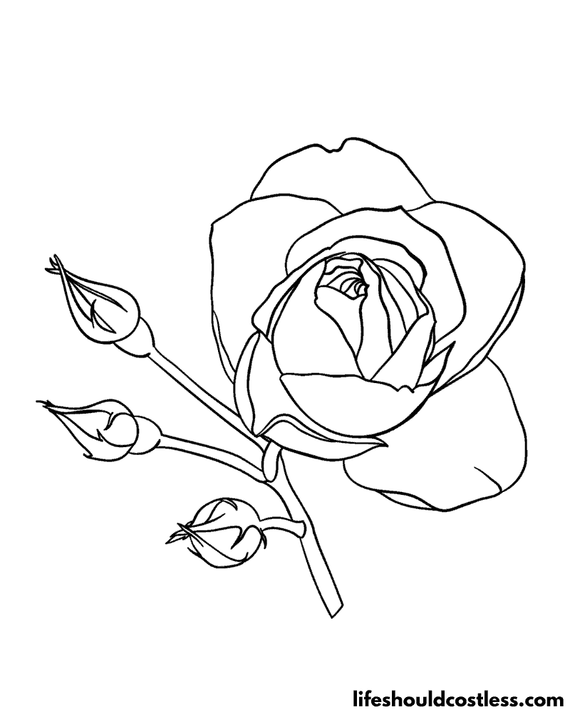 Coloring Page Of A Rose Example
