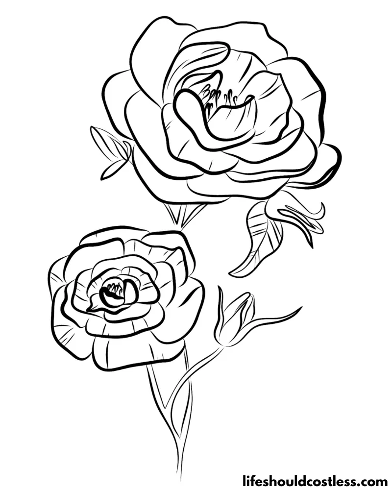 Coloring Pages With Roses Example