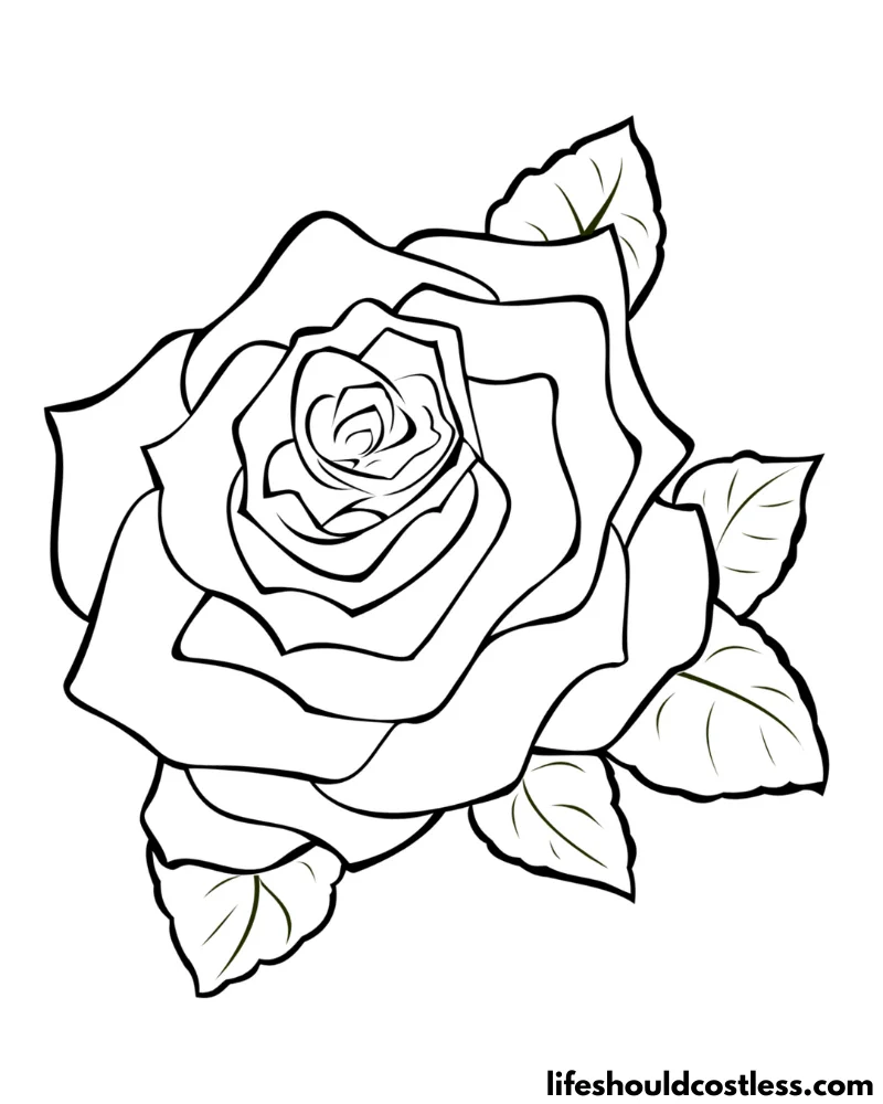 beautiful rose coloring pages