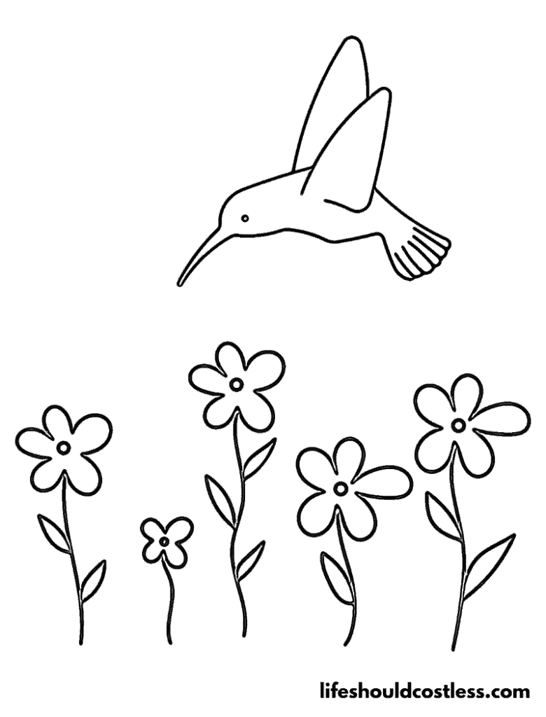 Easy/Beginner/Preschool Level Humming Bird Coloring outline example