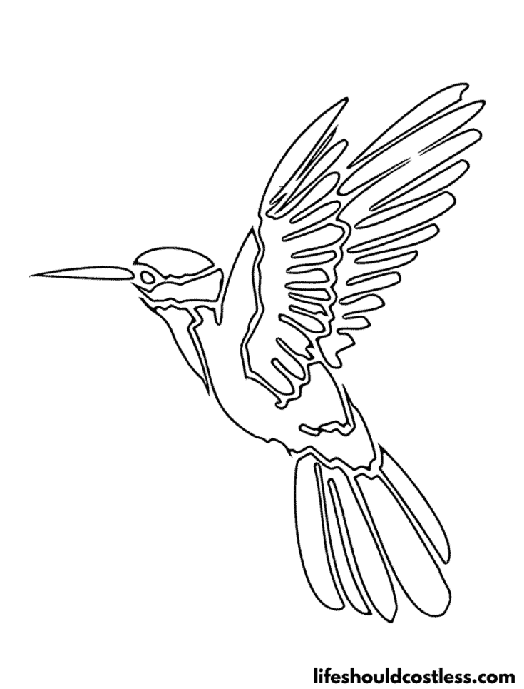 Fine Line Hummingbird Outline Coloring Page example
